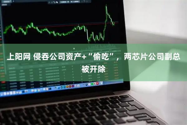 上阳网 侵吞公司资产+“偷吃”，两芯片公司副总被开除